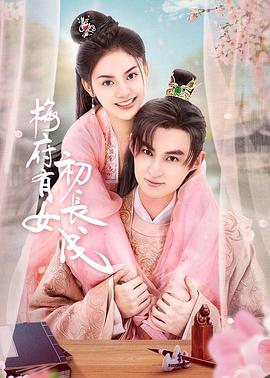 网站销售方案优化分析